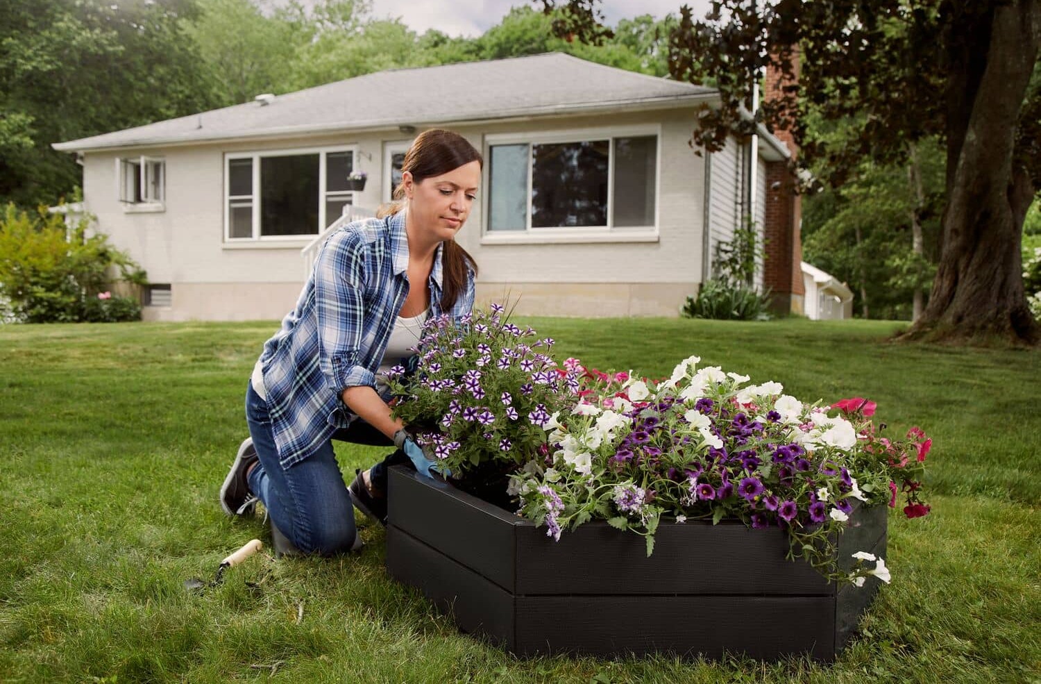 woman arranging flowers in garden bed