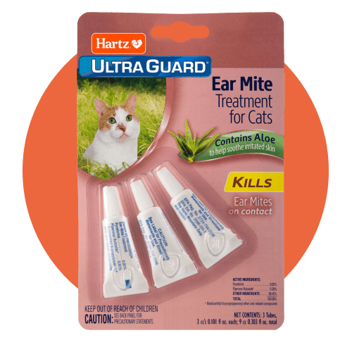 Ear Mites for Cats