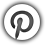 pinterest icon, directs to the weber-stephen pinterest page