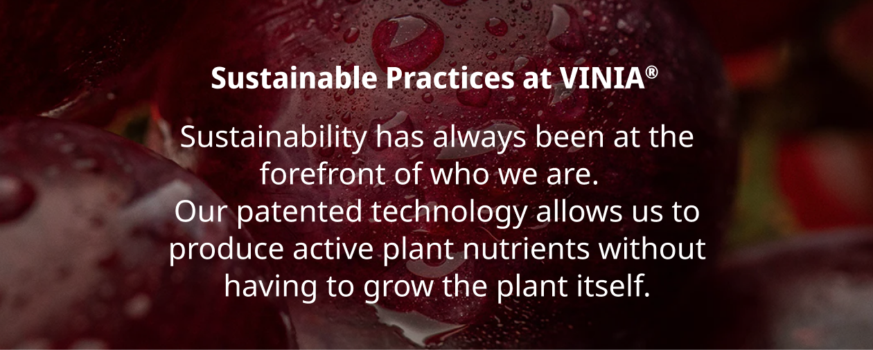 Sustainable Practices at VINIA