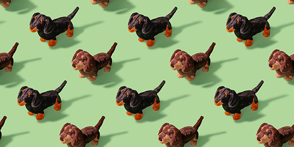 Otto-Sausage-Dog-Banner