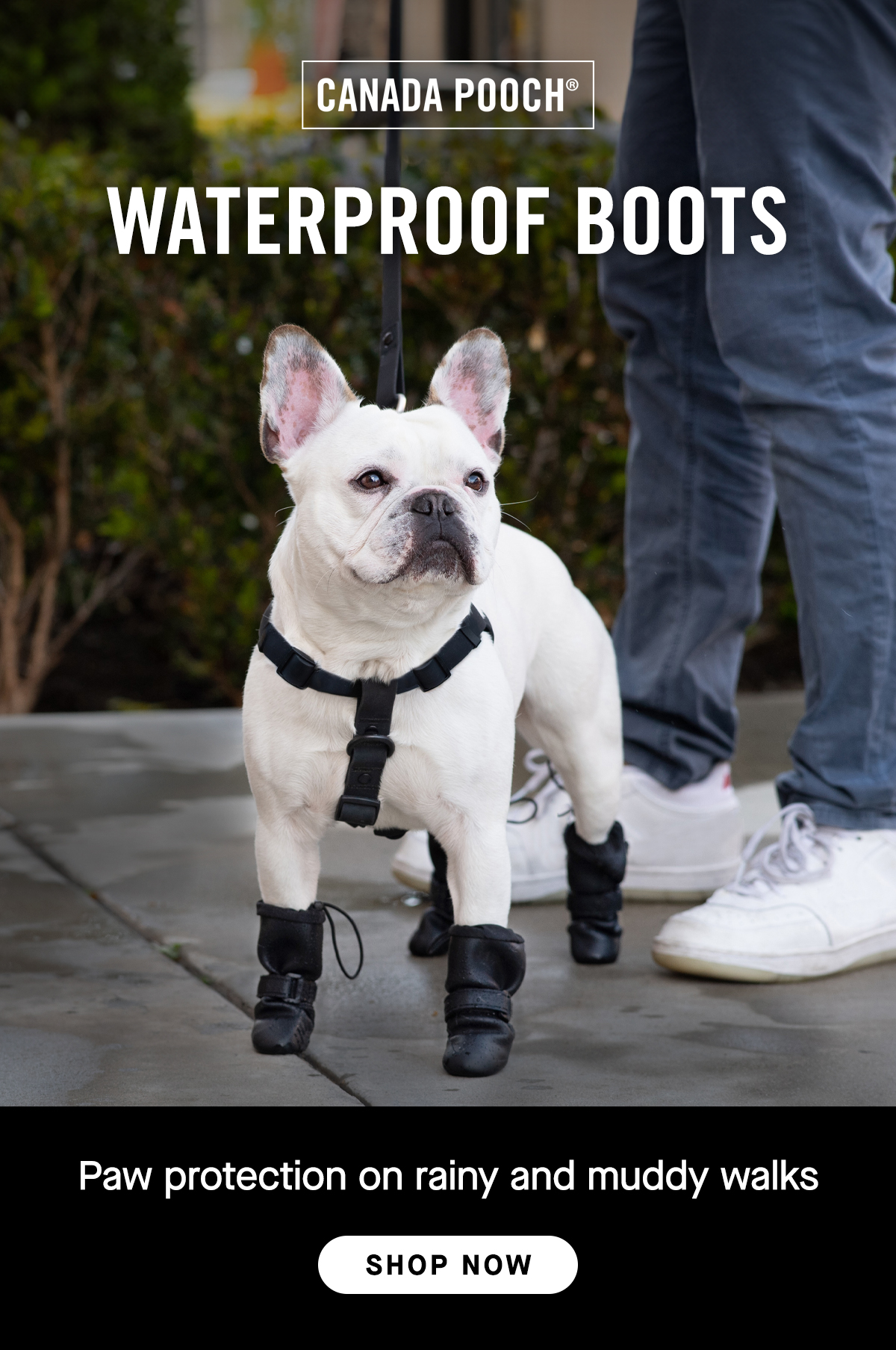 Waterproof Boots