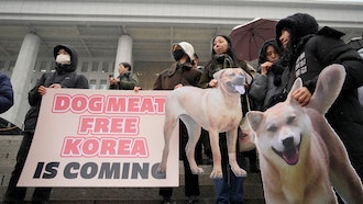 Animal rights activists attend a rally at the National Assembly in Seoul, Jan. 9, 2024.