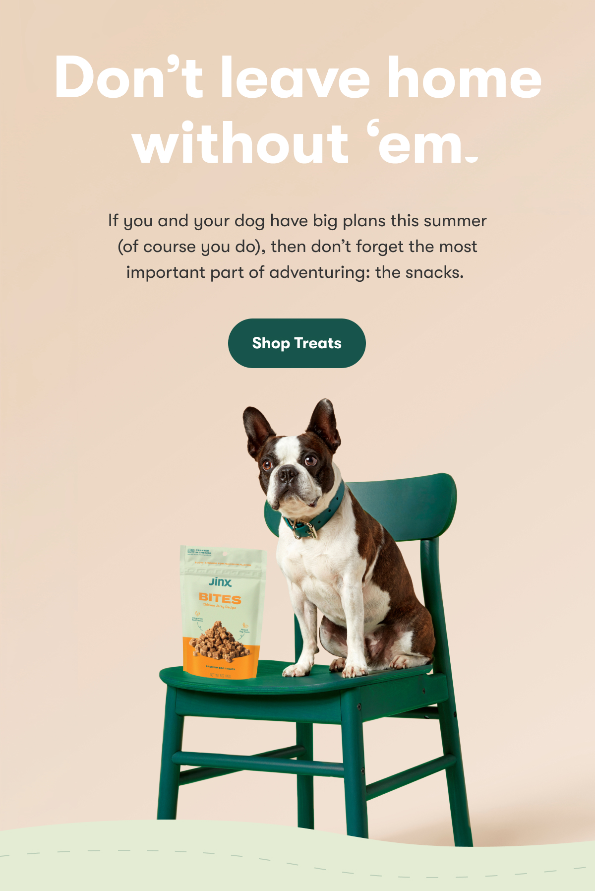 Don't leave home without 'em. If you and your dog have big plans this summer (of course you do), then don’t forget the most important part of adventuring: the snacks. Shop Treats