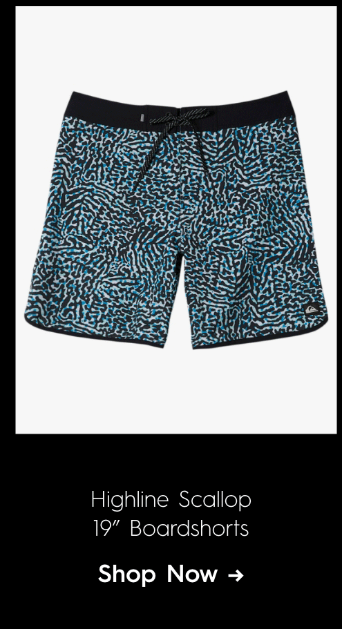 Highline Scallop 19in Boardshorts