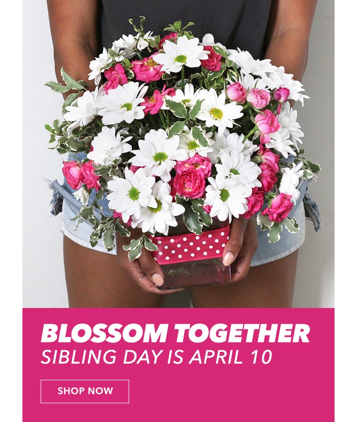 Blossom together