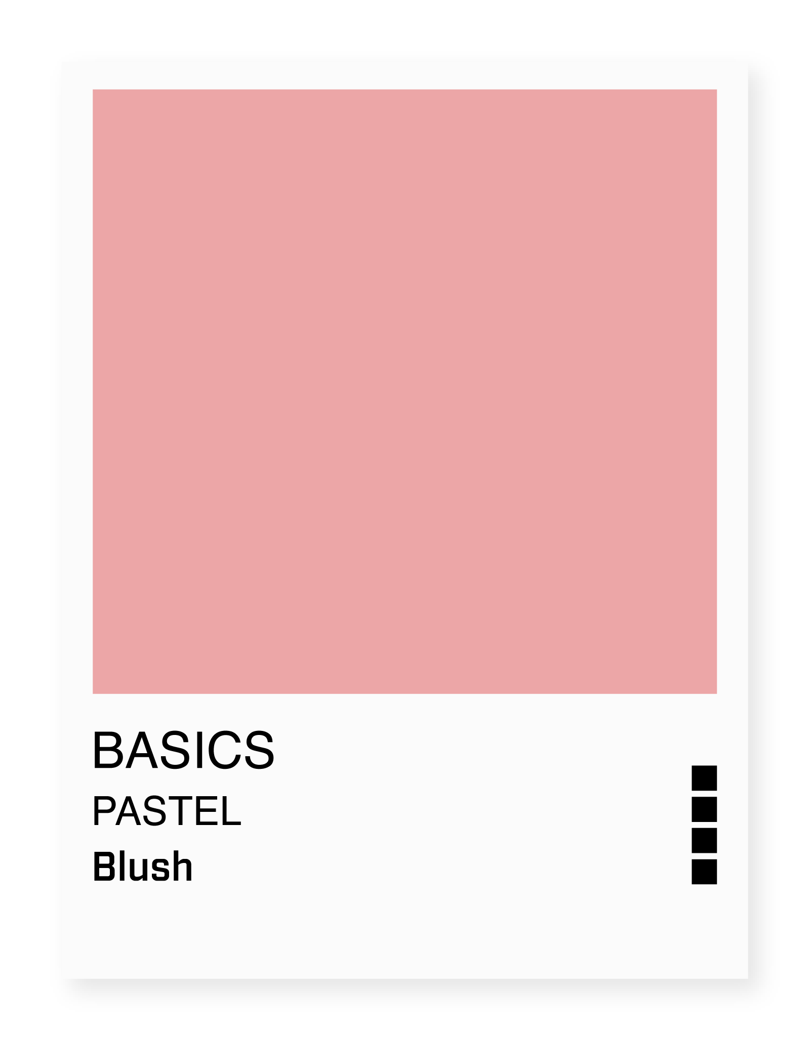 Basics Blush