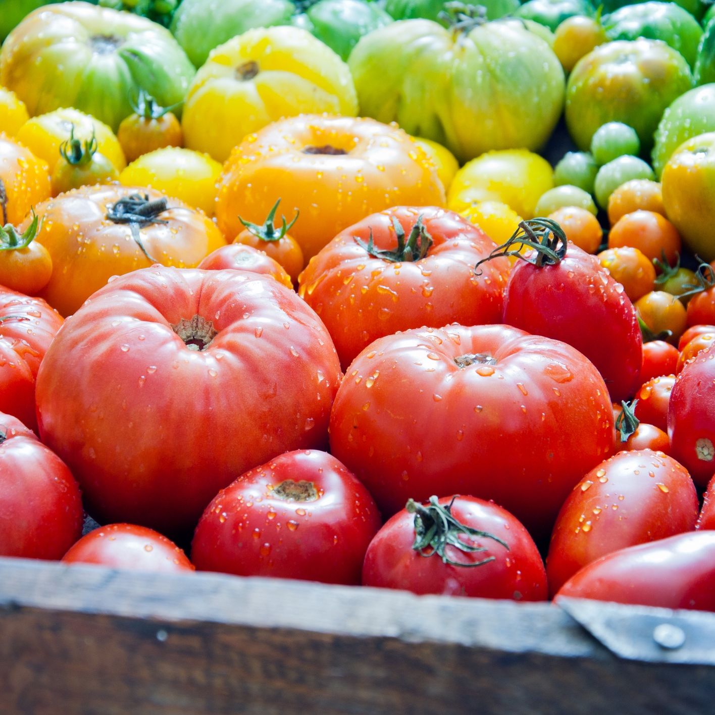 A Handy-Dandy Guide to All Different Types of Tomatoes