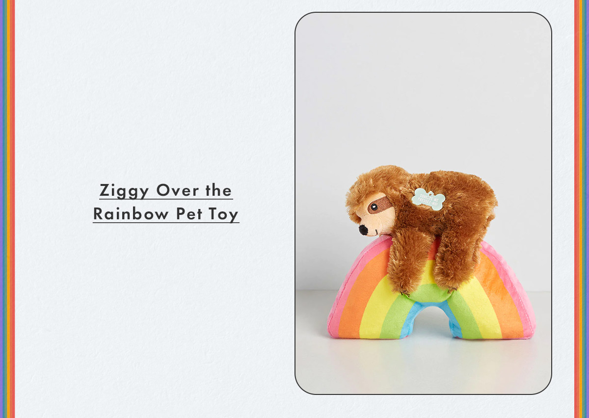 Ziggy Over the Rainbow Pet Toy