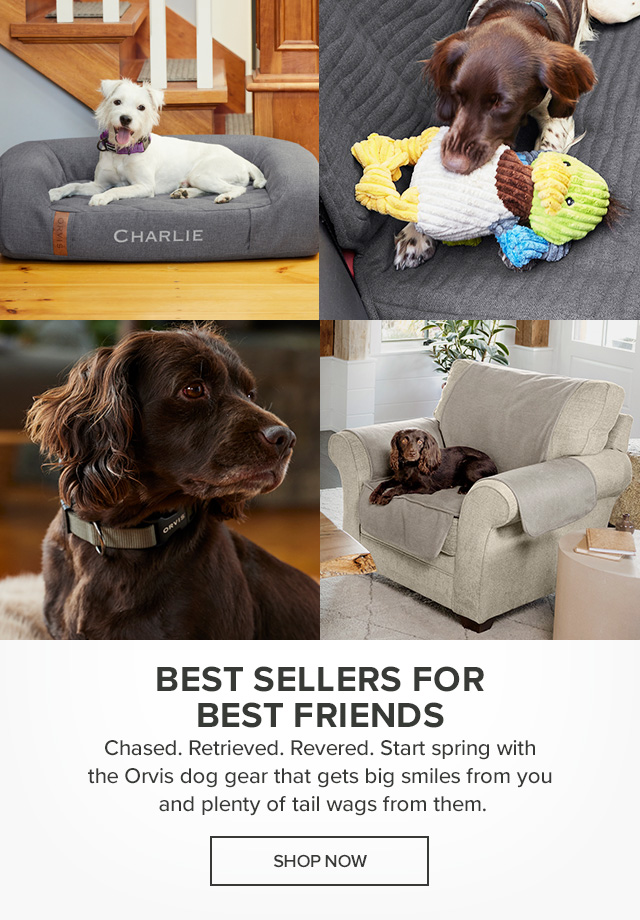 Best Sellers for Best Friends Chased. Retrieved. Revered. Start spring with the Orvis dog gear that gets big smiles from you and plenty of tail wags from them.