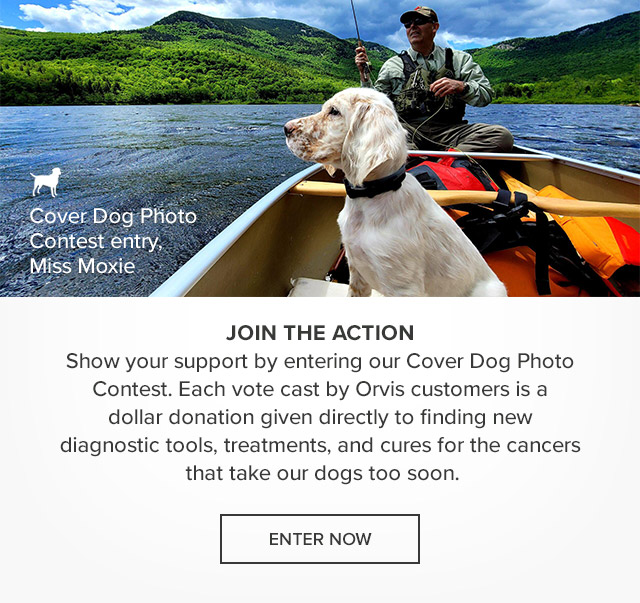 Join the Action Show your support by entering our Cover Dog Photo Contest. Each vote cast by Orvis customers is a dollar donation given directly to finding new diagnostic tools, treatments, and cures for the cancers that take our dogs too soon.