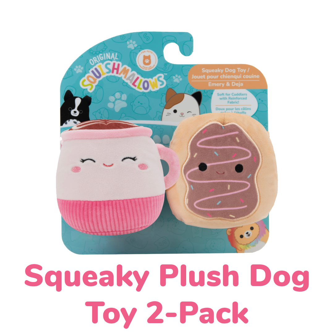 Squeaky Plush Dog Toy 2-Pack