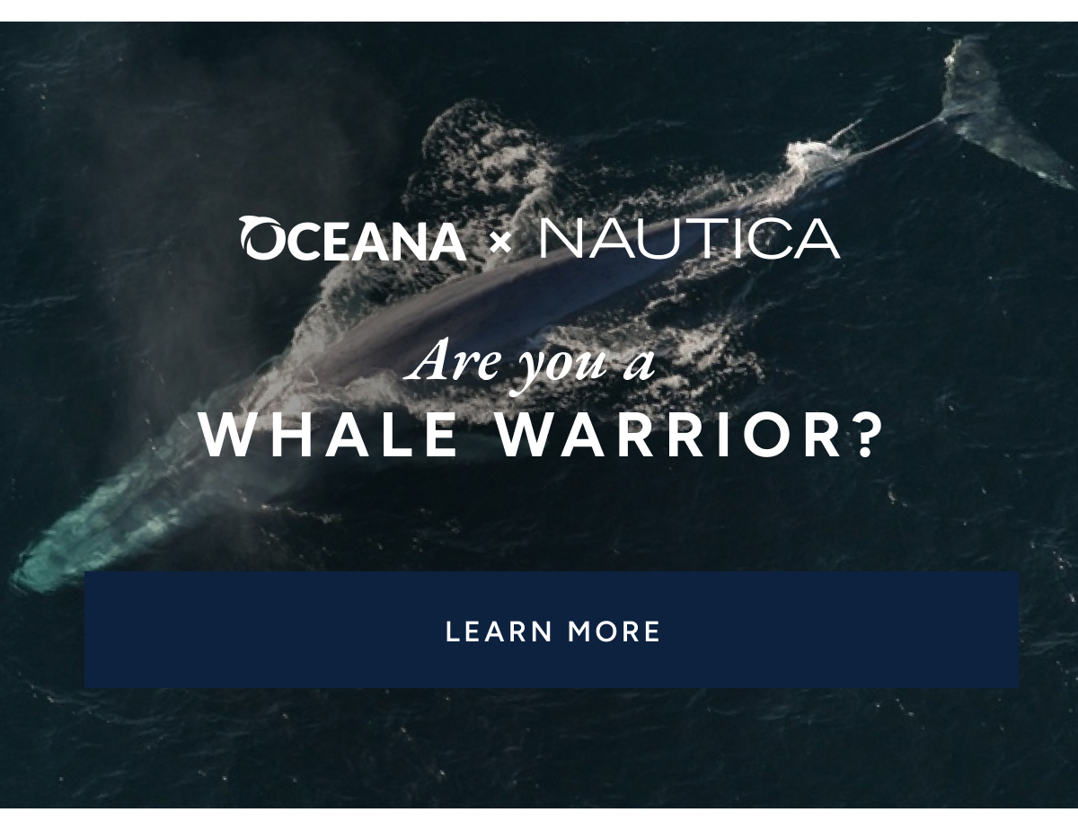 Oceana X Nautica. Are you a whale warrior? LEARN MORE