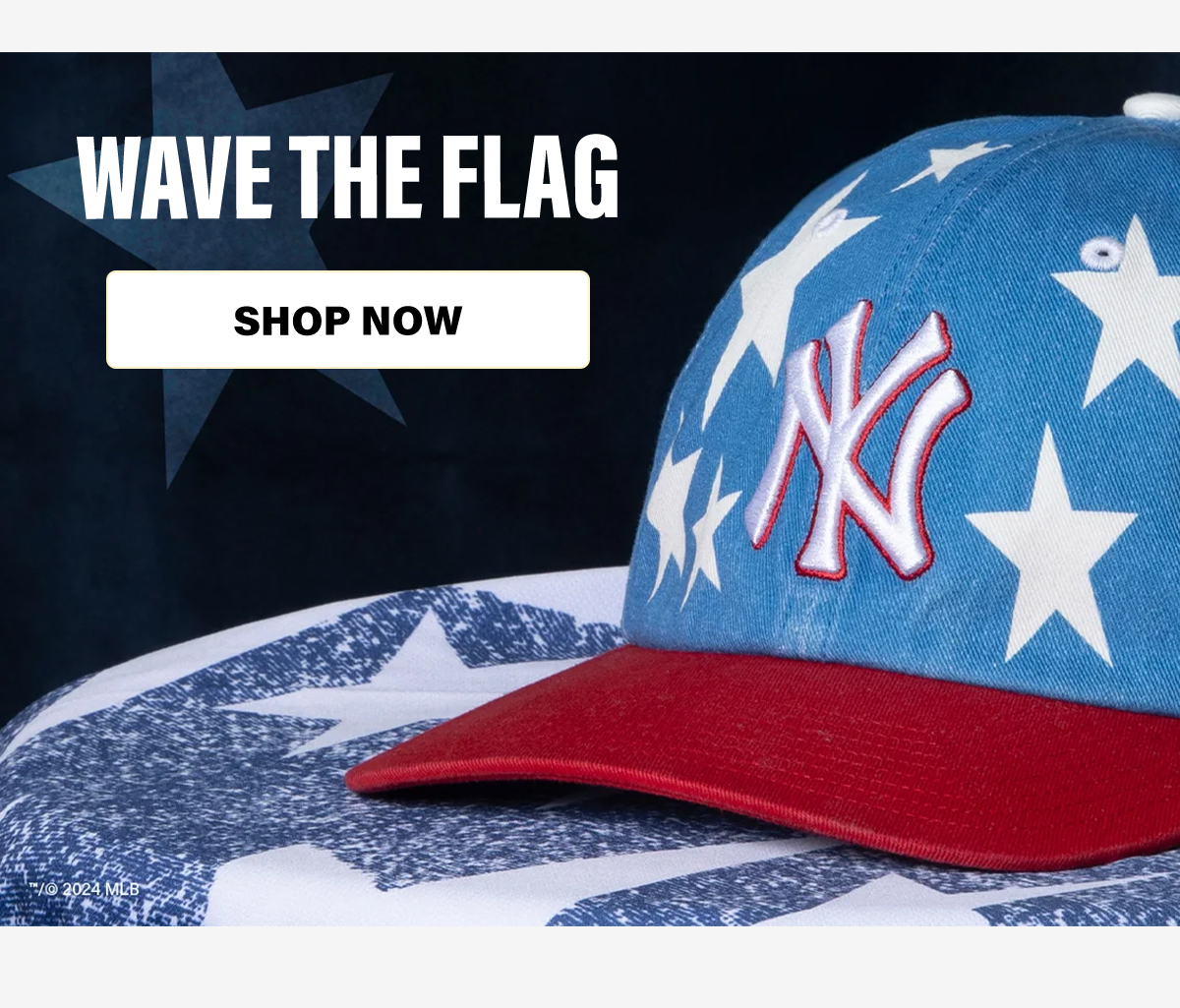 Wave the Flag | Shop Now