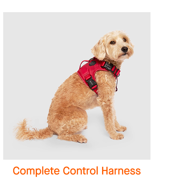 Complete Control Harness