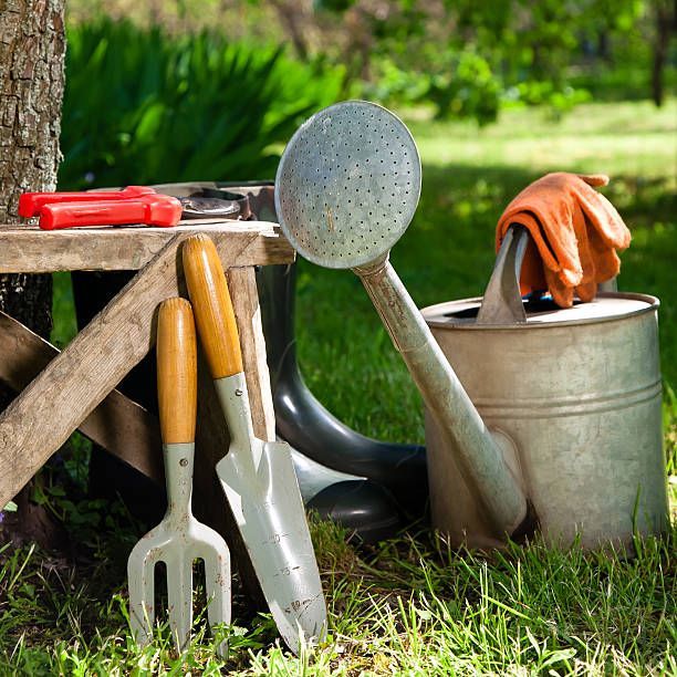 These Top-Rated Garden Tools on Amazon Make Outdoor Projects a Breeze