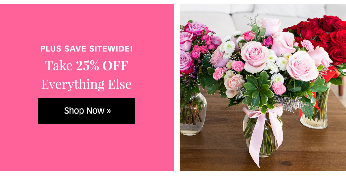 Take 25% Off Everything Else Sitewide »