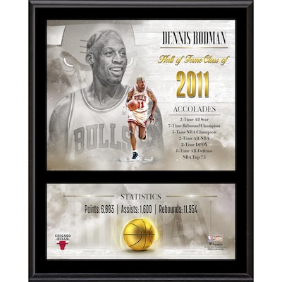 Dennis Rodman Chicago Bulls 12" x 15" Hardwood Classic Sublimated Player Plaque