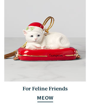 For Feline Friends  MEOW