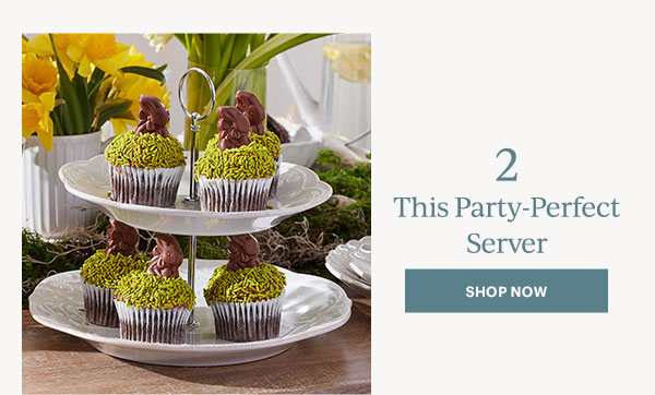 2  This Party-Perfect Server  [SHOP NOW]