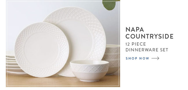 Shop Napa Countryside 12 Piece Dinnerware Set