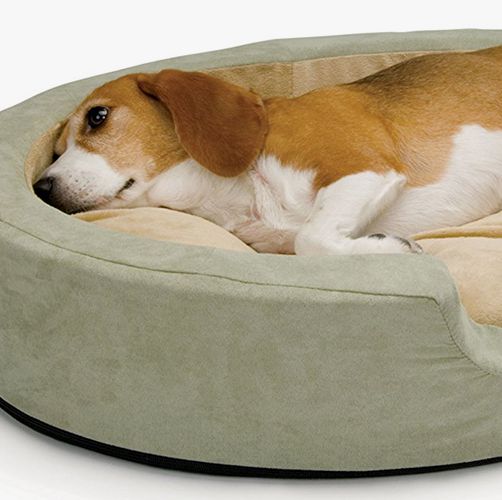 This Heated Bed Will Keep Your Dog Warm — Because Your Pup Gets Cold, Too