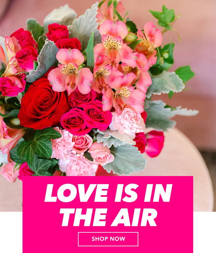 Love is in the air