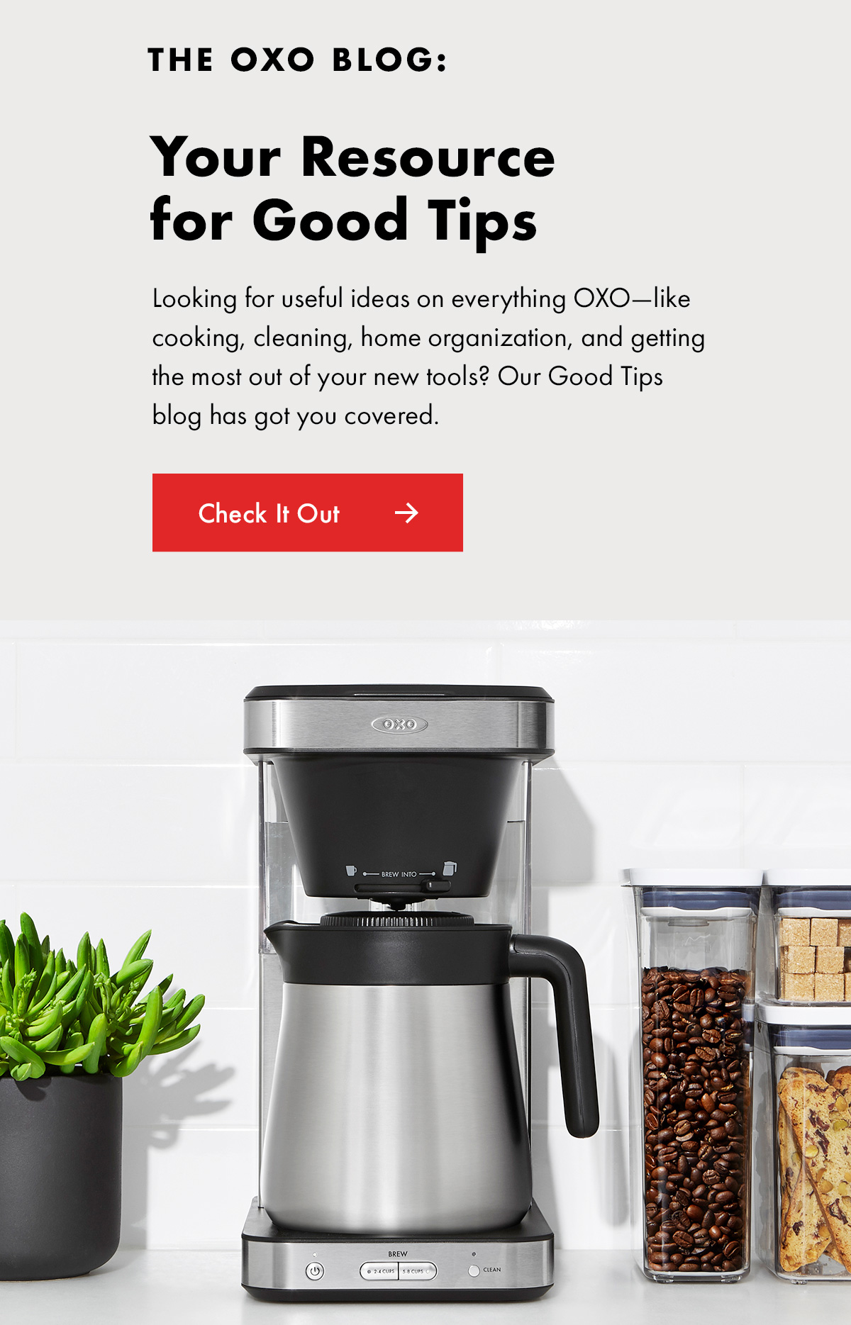 The OXO Blog