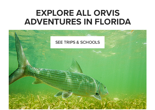 EXPLORE ALL ORVIS ADVENTURES IN FLORIDA