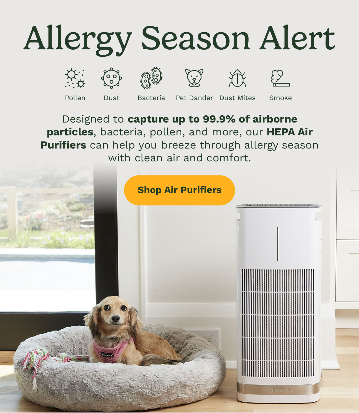 Allergy Season Alert