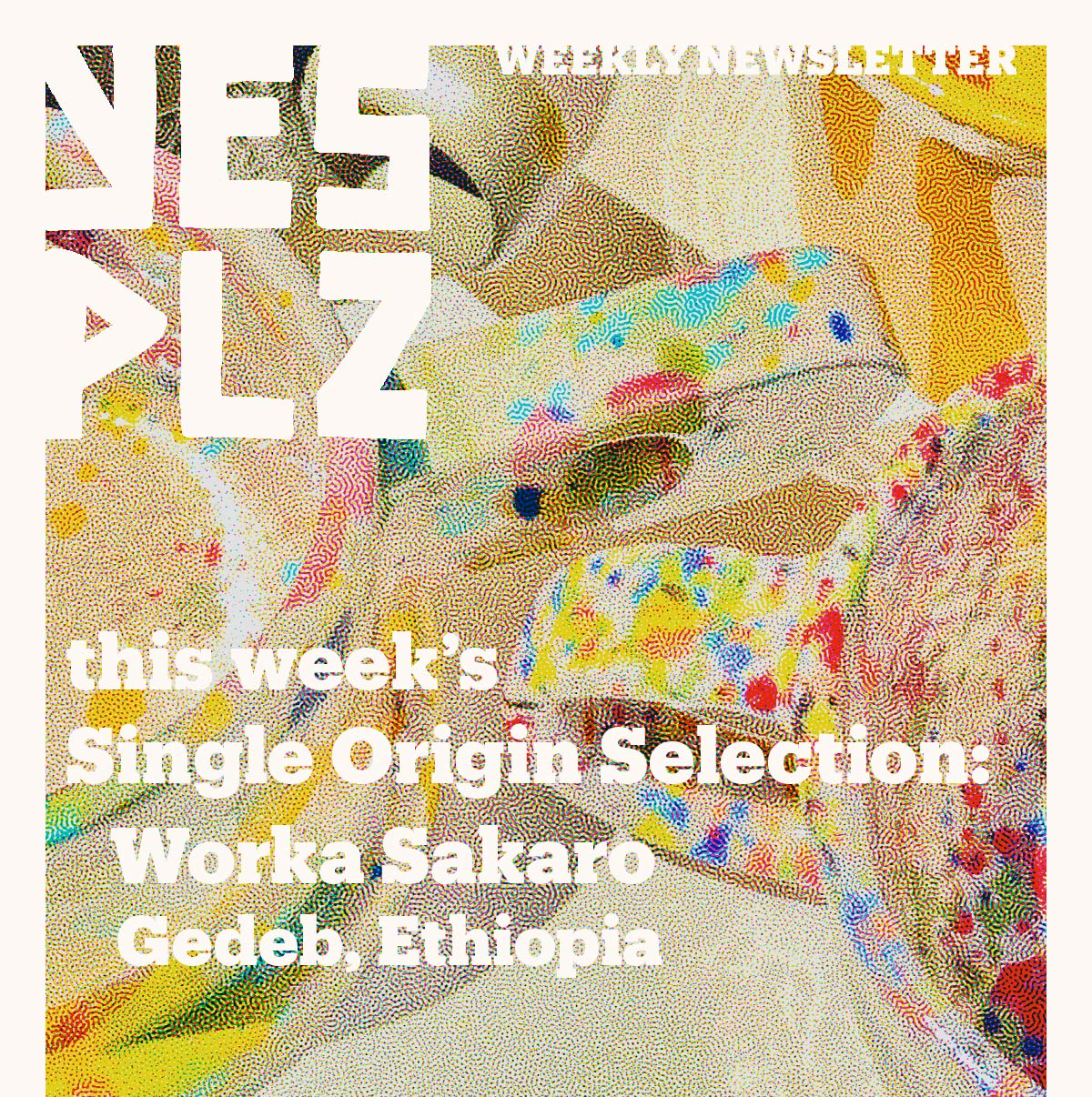 YES PLZ weekly newsletter -- this week's single origin selection, Worka Sakaro, Geed Ethiopia