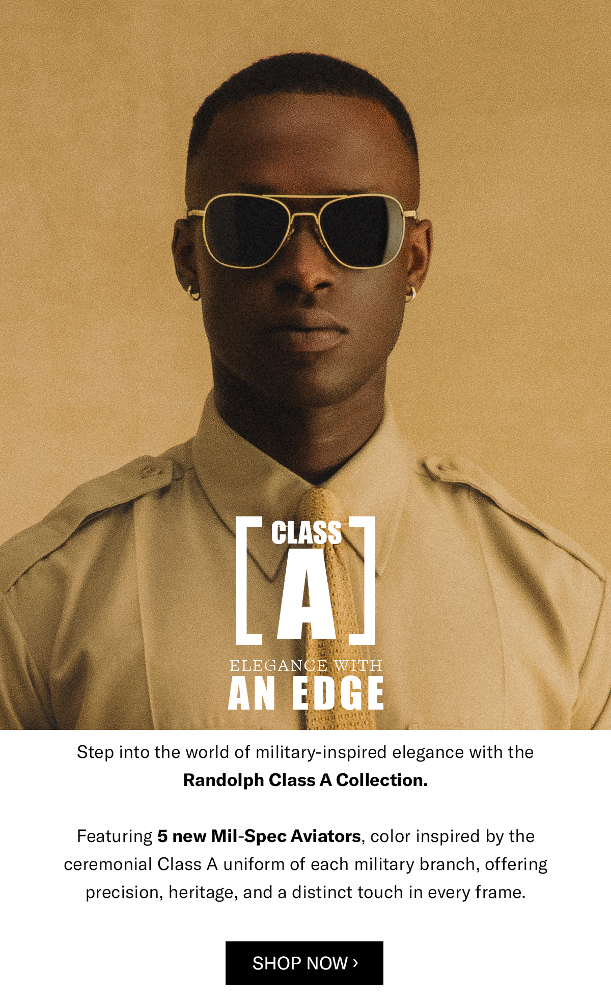 CLASS A AVIATOR - DESERT SAND & AMERICAN GRAY