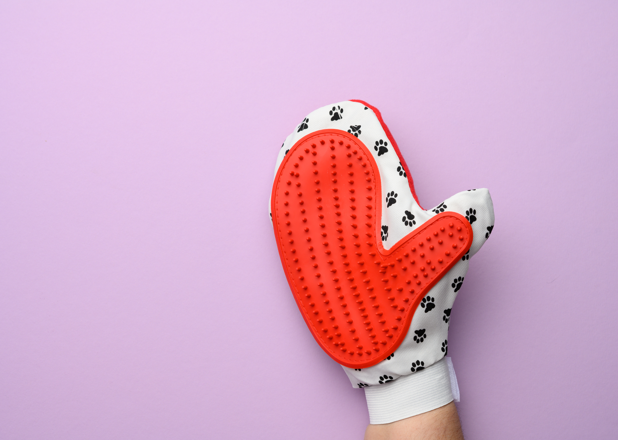 White and red grooming glove with black paw prints on a purple background.