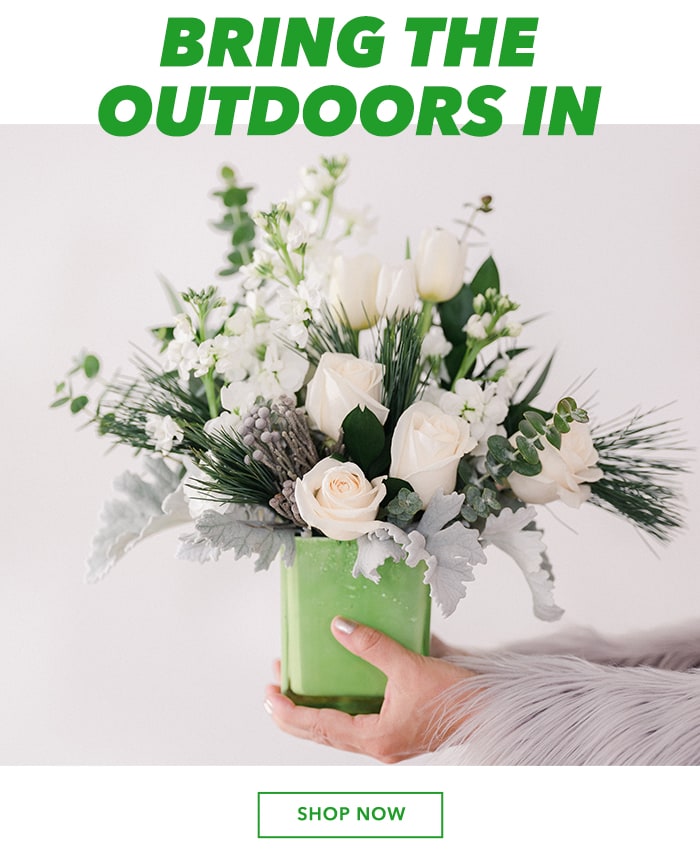 Bring the outdoors in