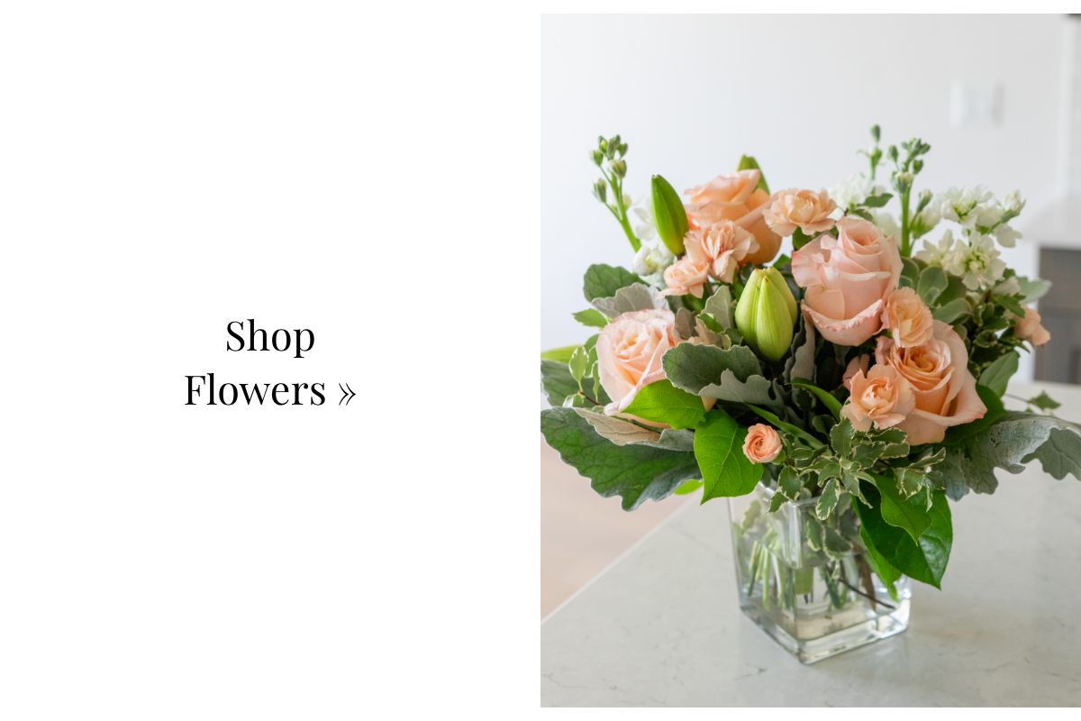 Shop Flowers »