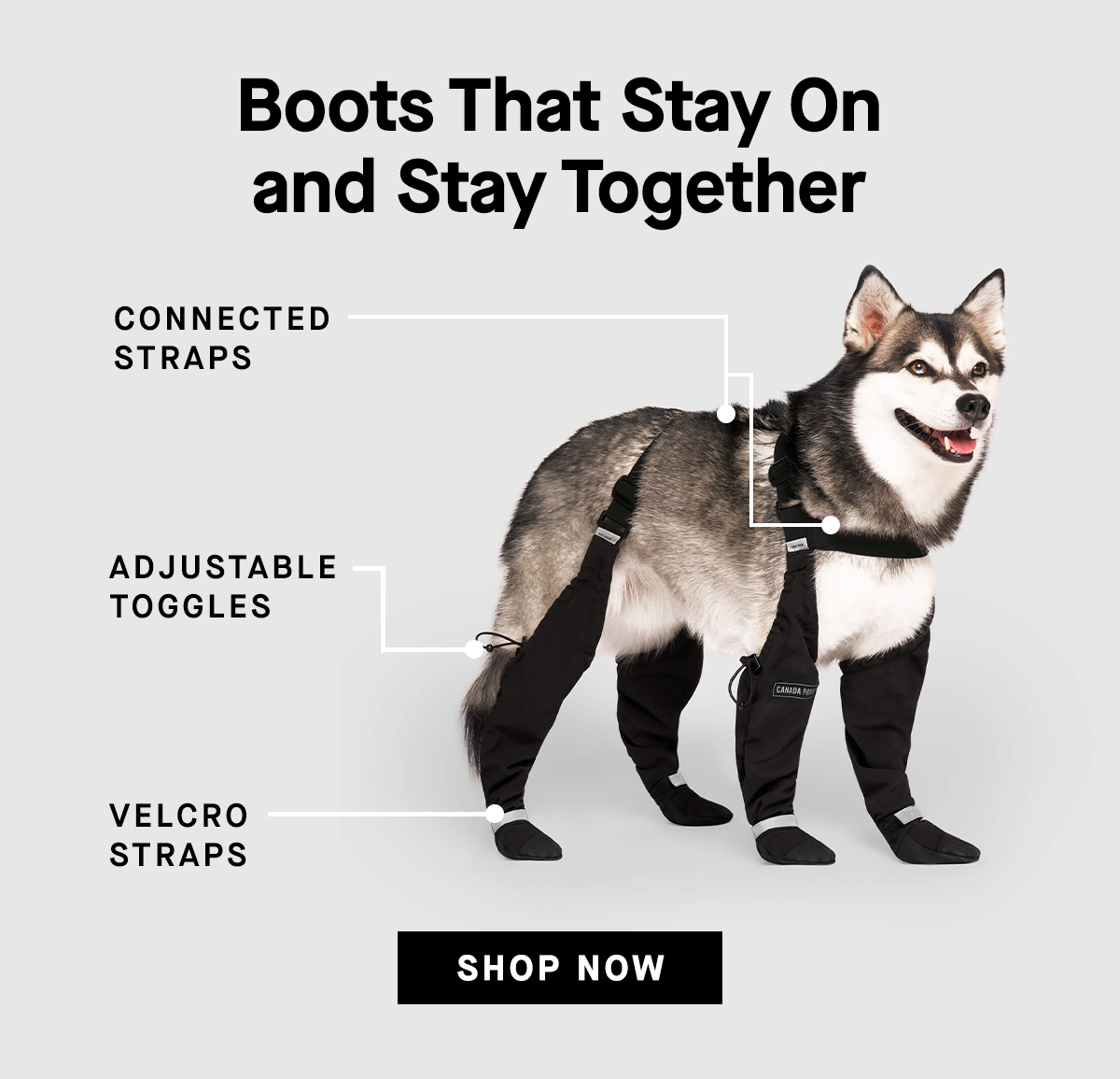 Picture of dog wearing the Suspender Boots with arrows pointing to specific parts of the product - Boots That Stay On and Stay Together, Connected Straps, Adjustable Toggles, Velcro Straps