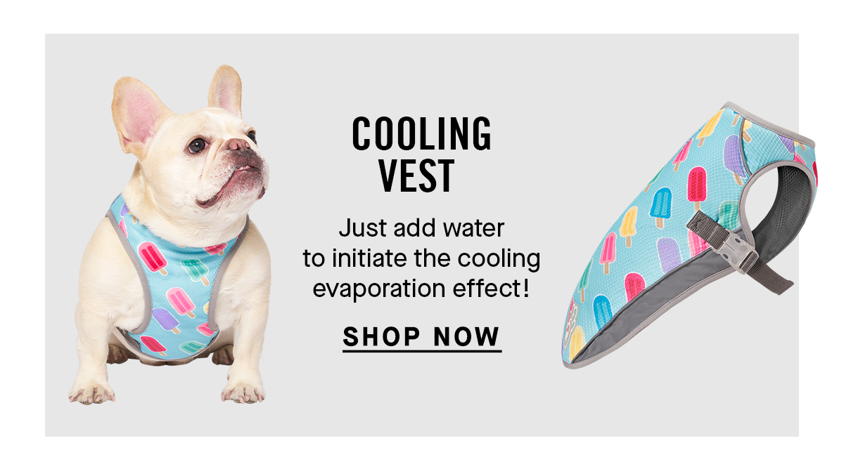 Cooling Vest