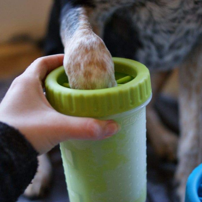 The MudBuster Will Stop Your Dog from Tracking Dirt Inside the House