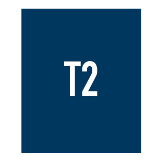 T2