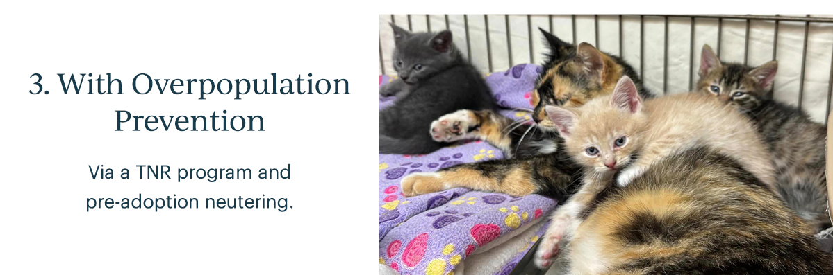 3. With Overpopulation Prevention  Via a TNR program and pre-adoption neutering.