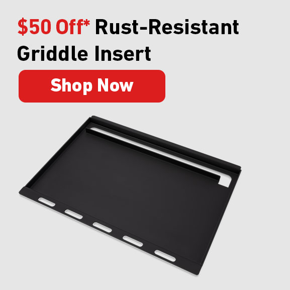 image of the RUST-RESISTANT GRIDDLE INSERT