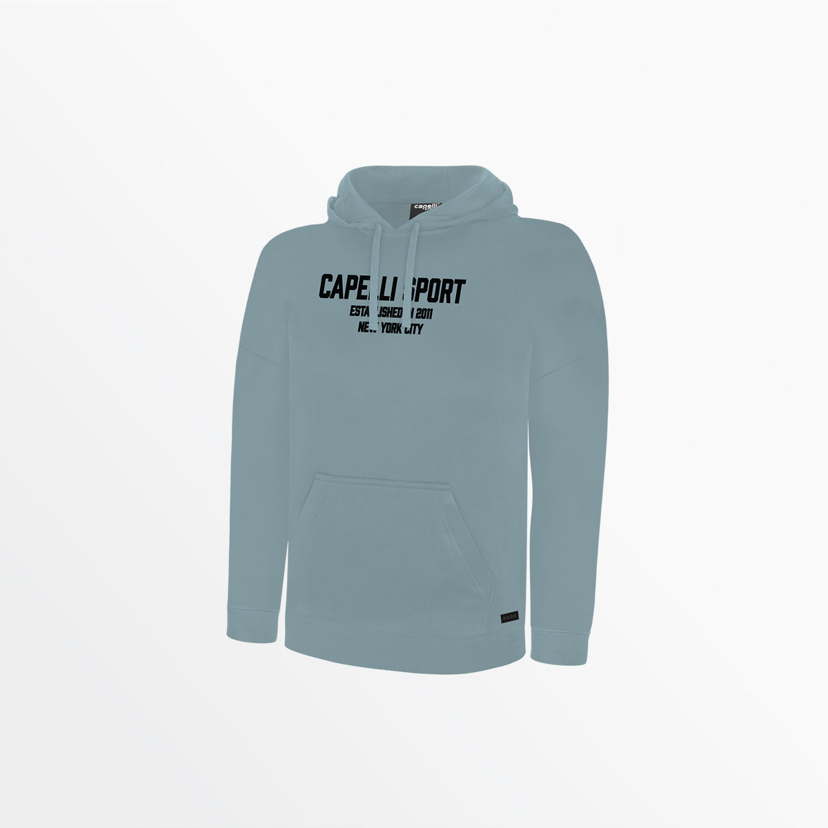 Image of MEN'S CS ESTABLISHED PULLOVER HOODIE