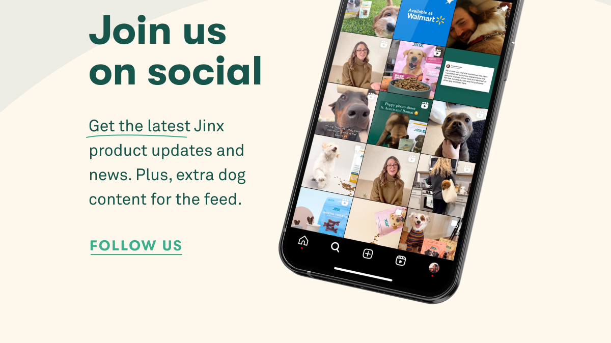 Join us on social. Get the latest Jinx product updates and news. Plus, extra dog content for the feed.