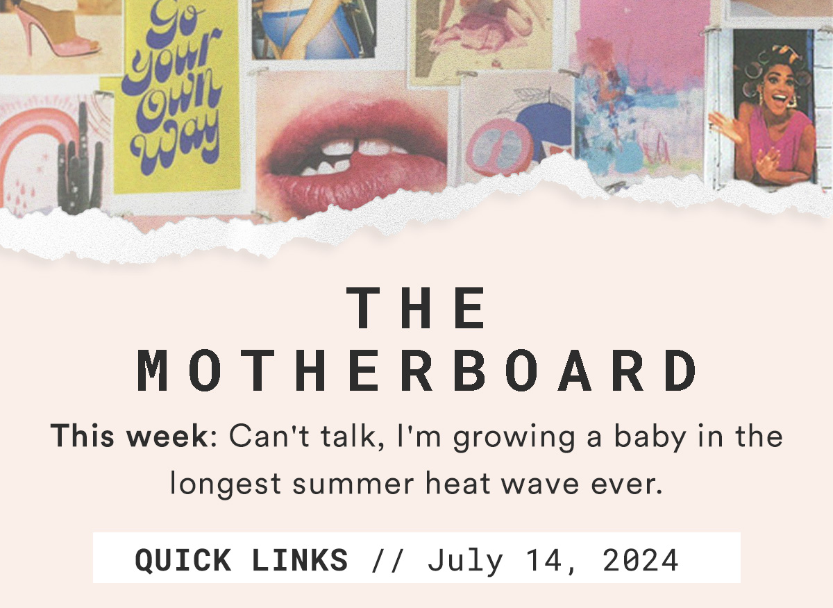 The Motherboard. Quicklinks // July 14, 2024