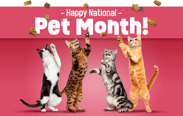 Four cats reaching up for treats that are raining down with the headline Happy National Pet Month!