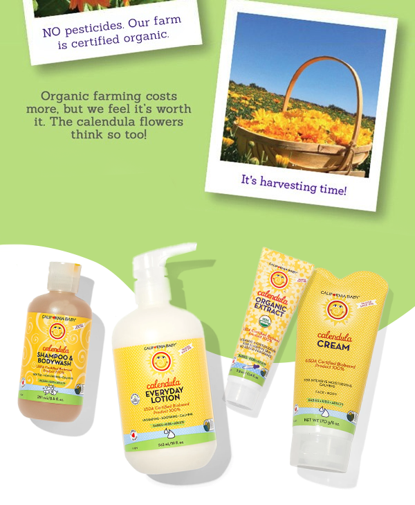 Explore Calendula Products