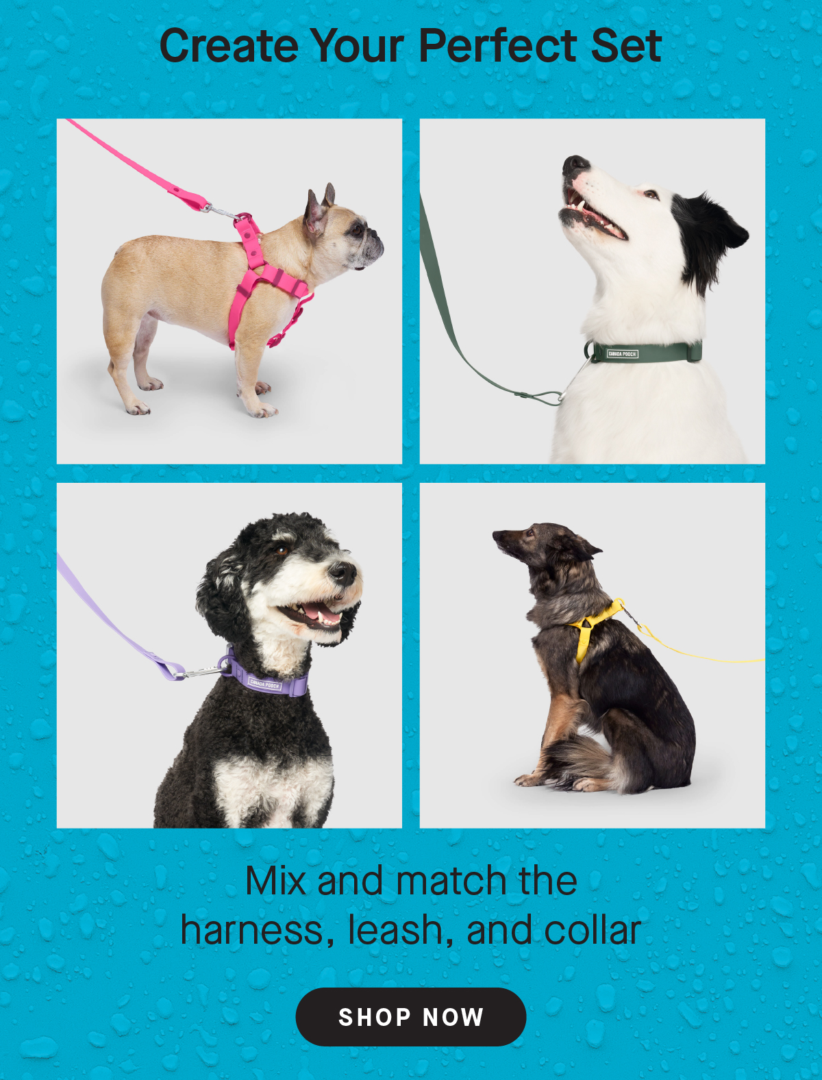 4 pictures of dog's wearing each colour of the waterproof collection: pink, blue, black, and yellow - Create Your Perfect Set, Mix and match the harness, leash, and collar