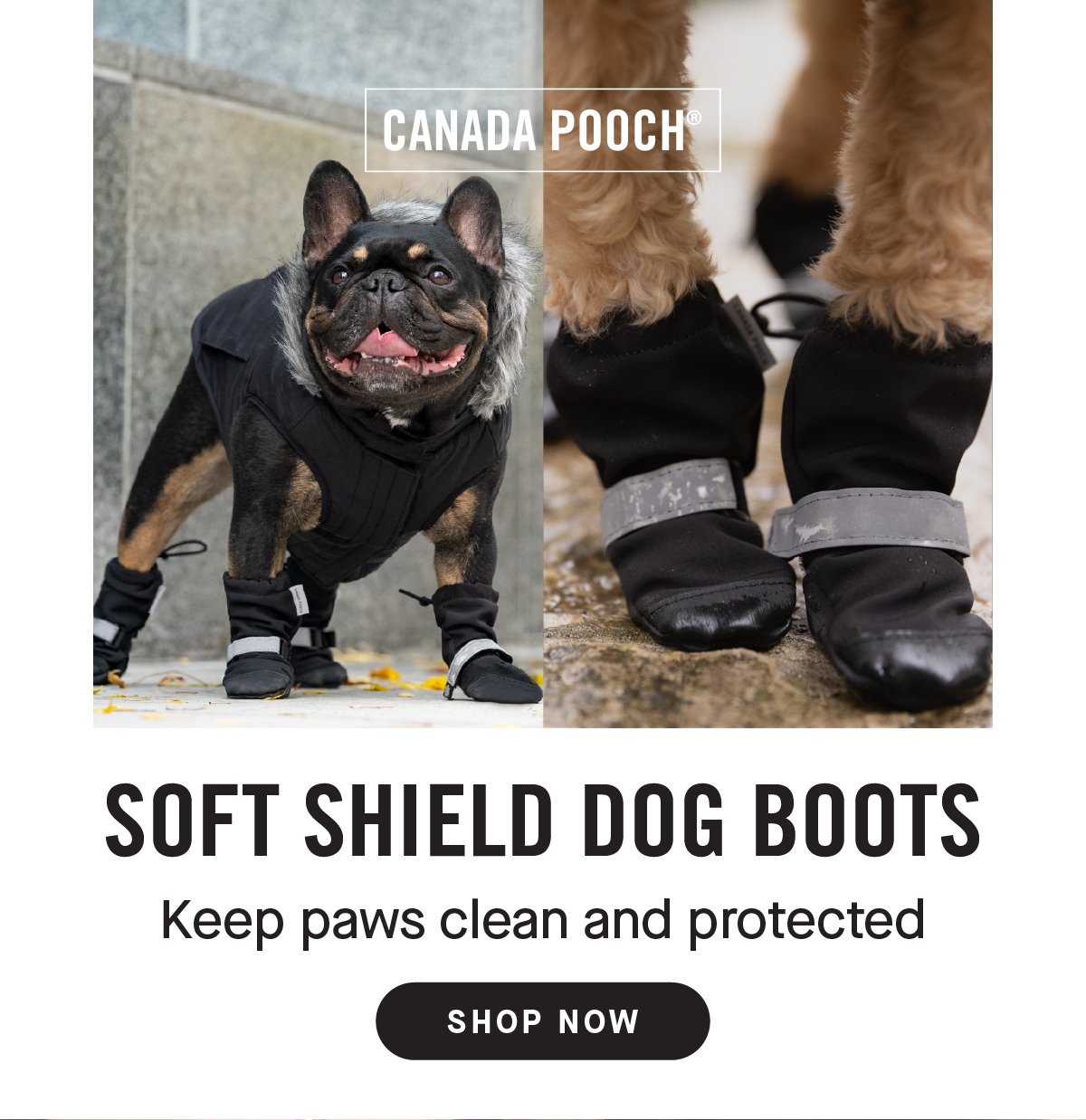 Dog wearing the black Soft Shield Boots and a close up of the boots - Soft Shield Dog Boots, Keep paws clean and protected