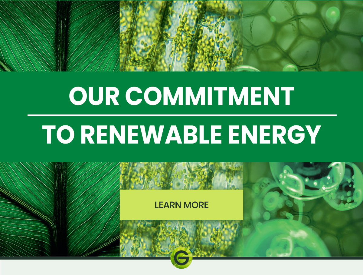 Learn more about Garnier's renewable energy goals