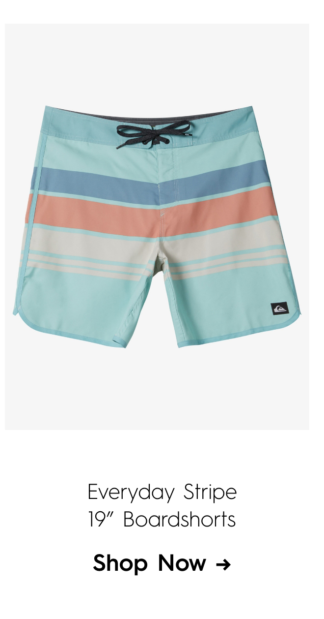 Everyday Stripe 19in Boardshorts